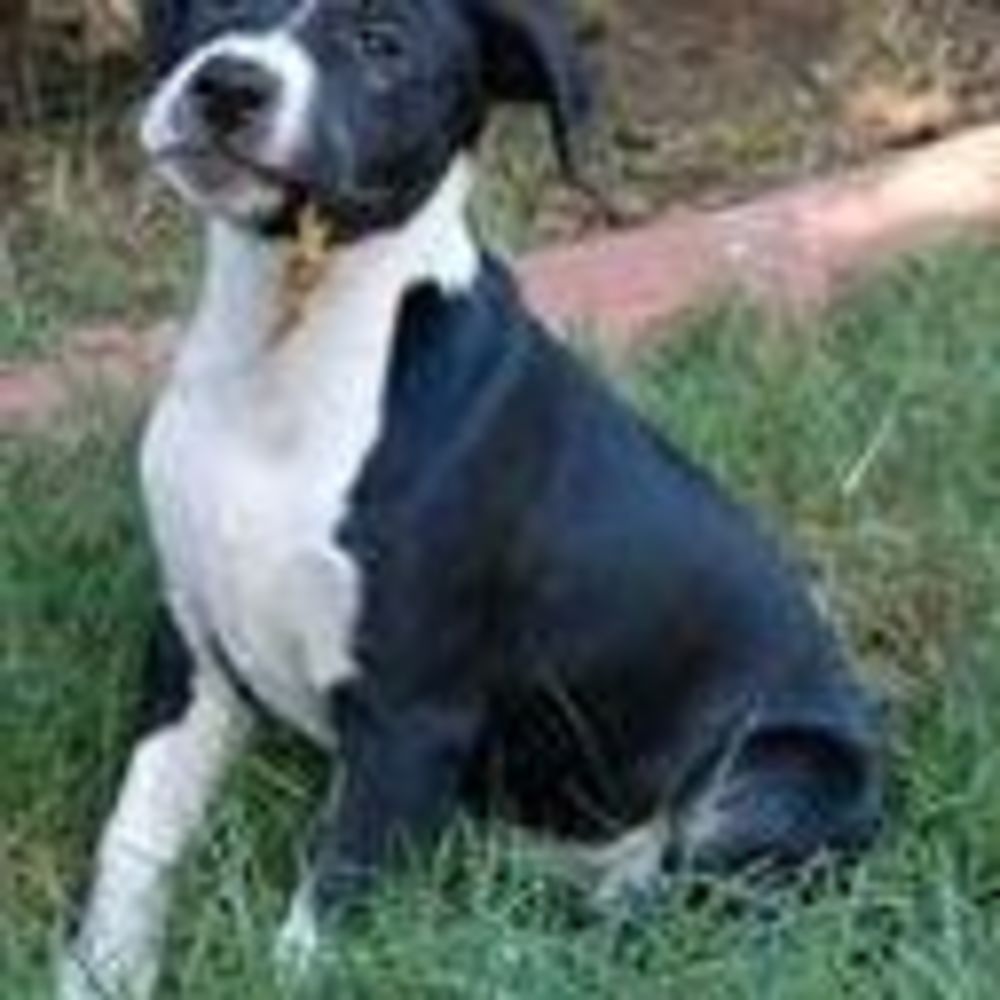 Meet your Posher, Cynthia